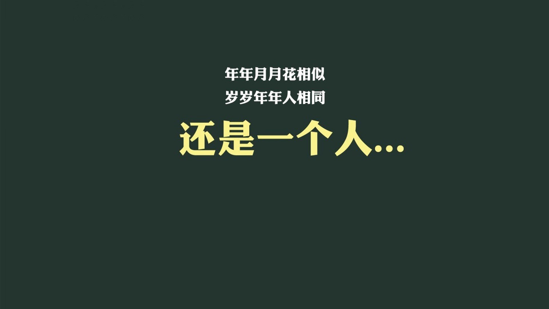 哥伦比亚马术协会与国际组织合作，推广“Sinjska Alka”至全球。，哥伦比亚马夹