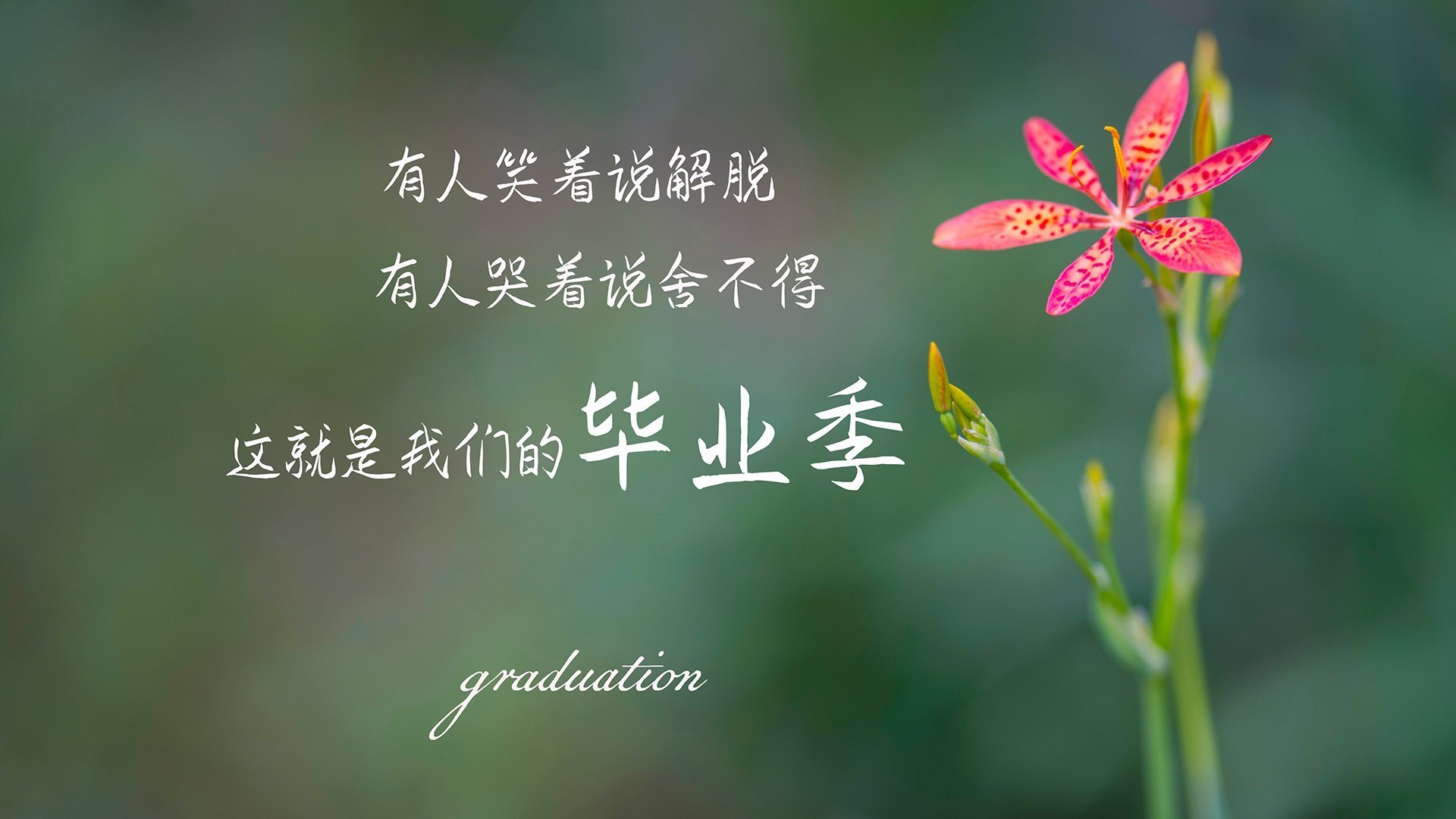 西甲运动员薪酬增长，职业保障增强，西甲球员工资排行榜