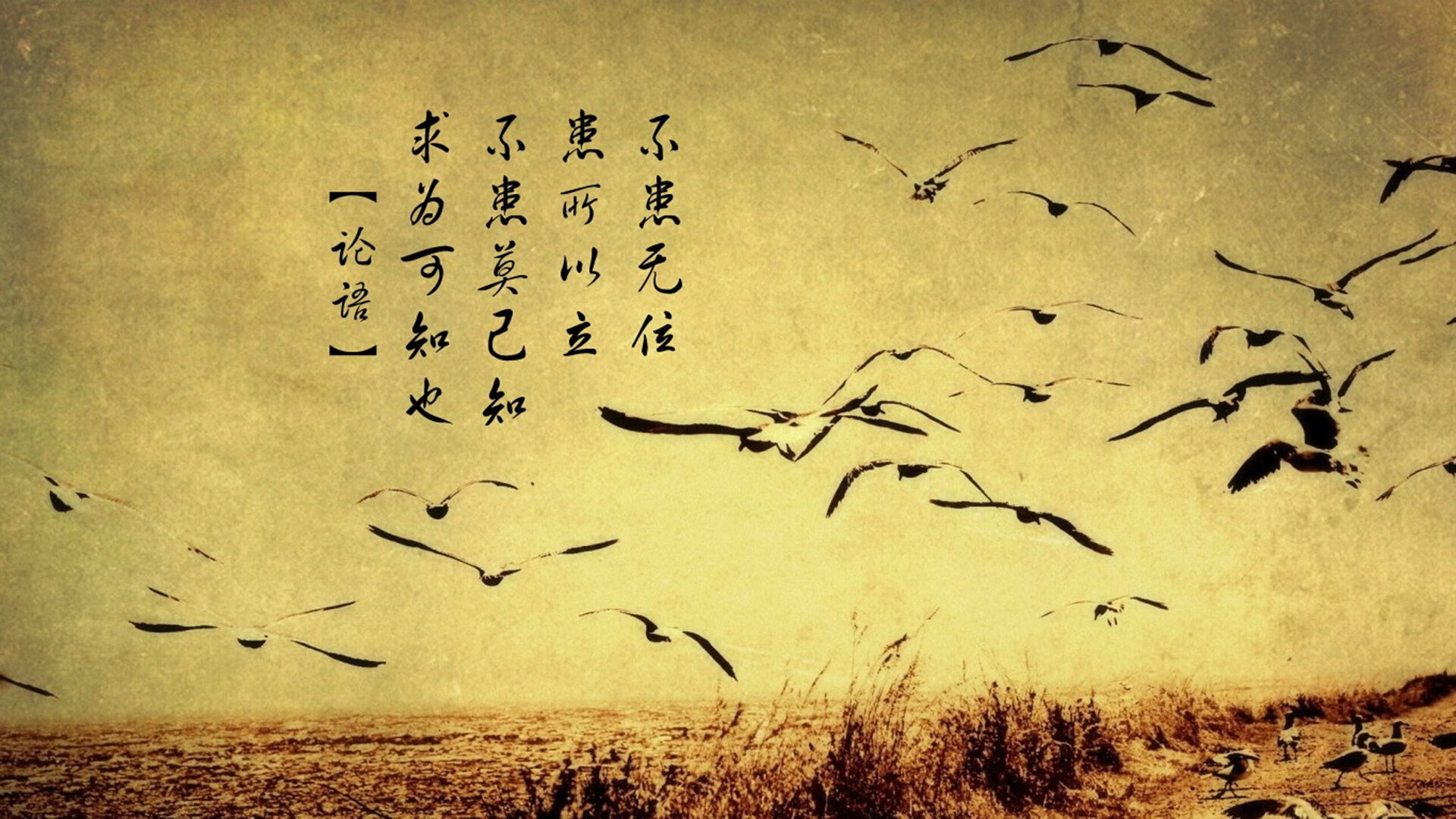 西甲联赛中场组织优化，比赛更加激烈多变，西甲最强中场